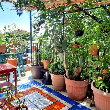 La Terraza Del Pochote Oaxaca Exterior foto